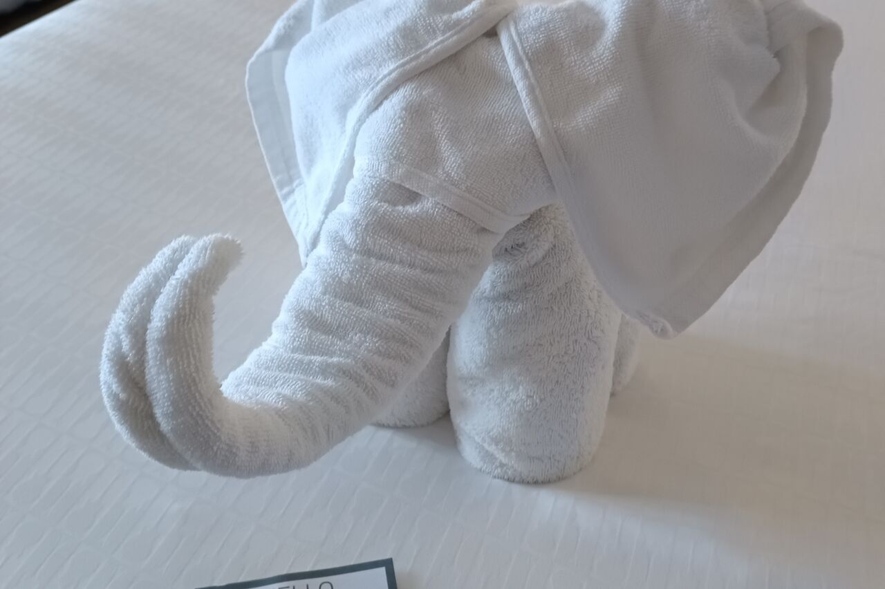 wieder auf dem Zimmer haben wir Nachwuchs, und in Zukunft jeden Tag anderen ;)