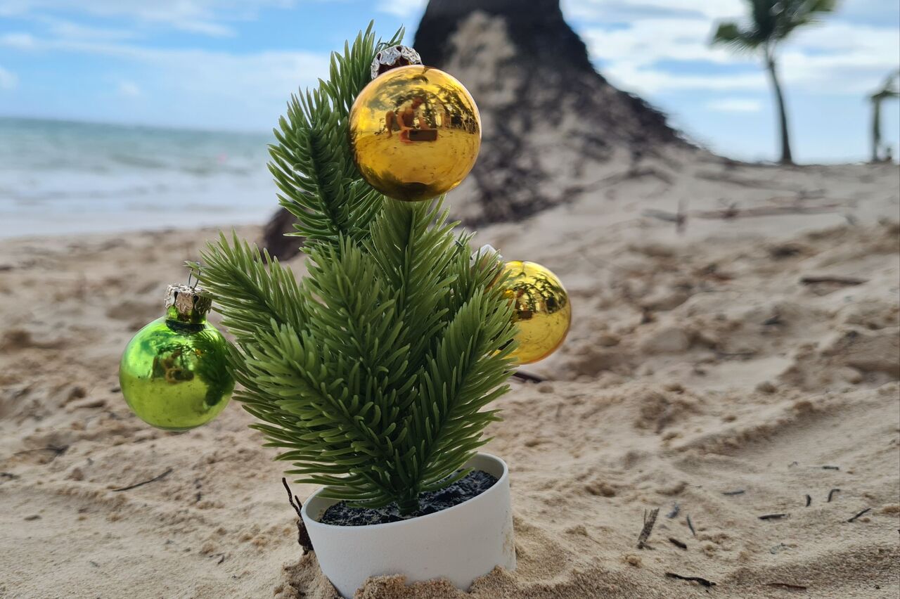 Unser kleinster Weihnachtsbaum den wir je hatten. Aber unser.