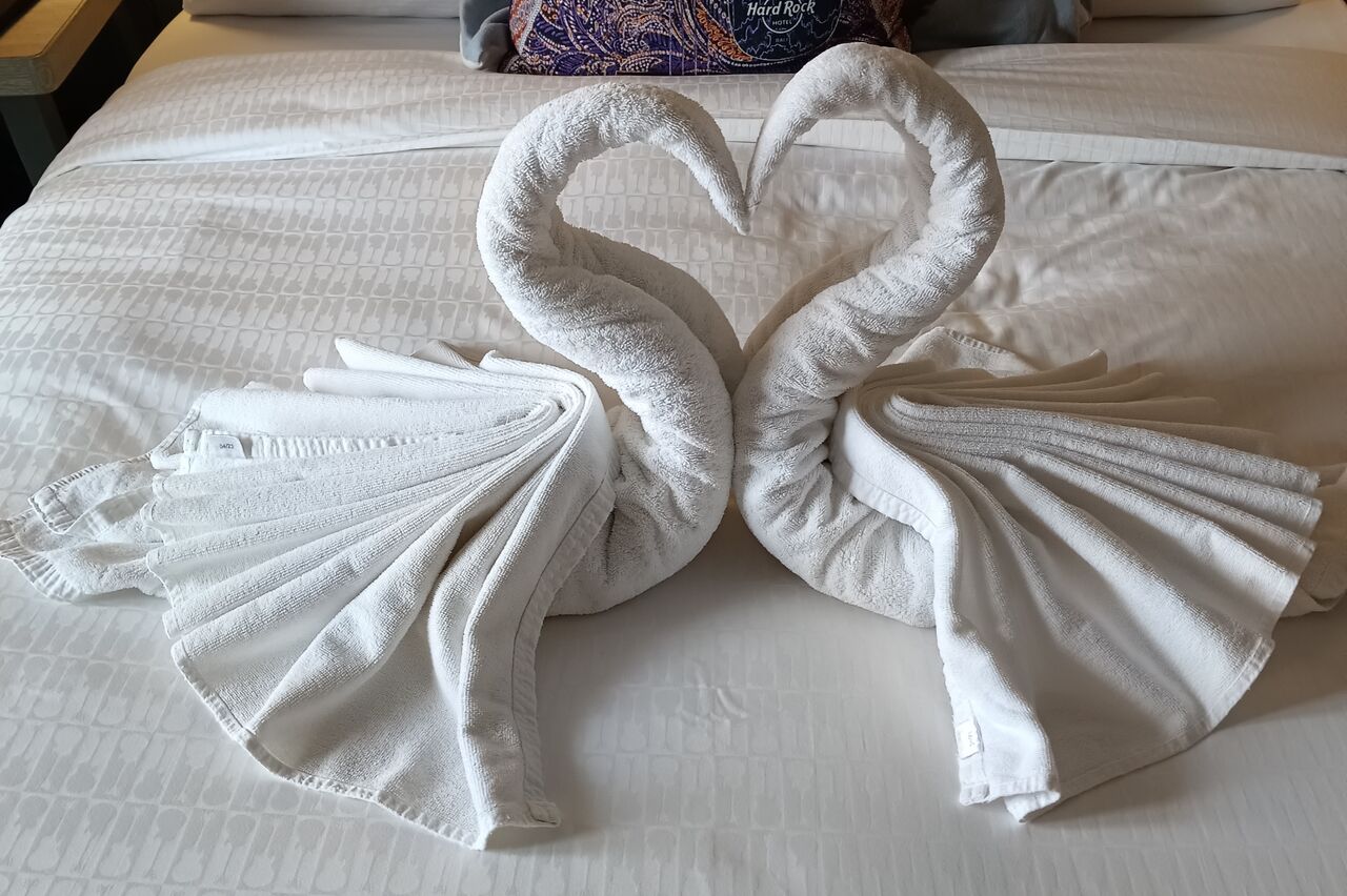 die tägliche Roomservice-überraschung: heute die verliebten Schwäne, langsam wird es eng im Zimmer, es stehen schon mehrere Handtuchfiguren rum