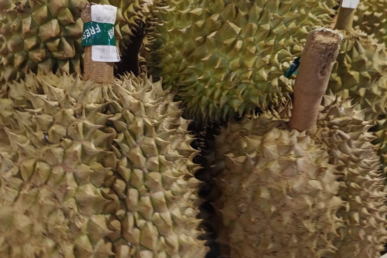 und die hier riechen schon sehr streng, keine Ahnung ob die Durian- oder Kotzfrucht anderswo gut riecht, mich jedenfalls hat es fast rückwärts aus dem Laden gedrückt