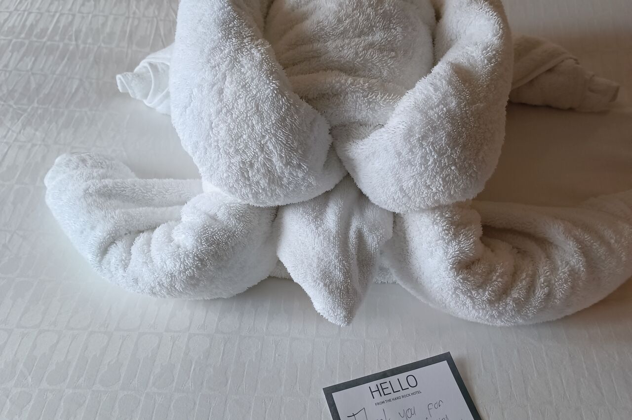 heute gabs eine Schildkröte und Abschiedsgrüße von unserem Roomservice