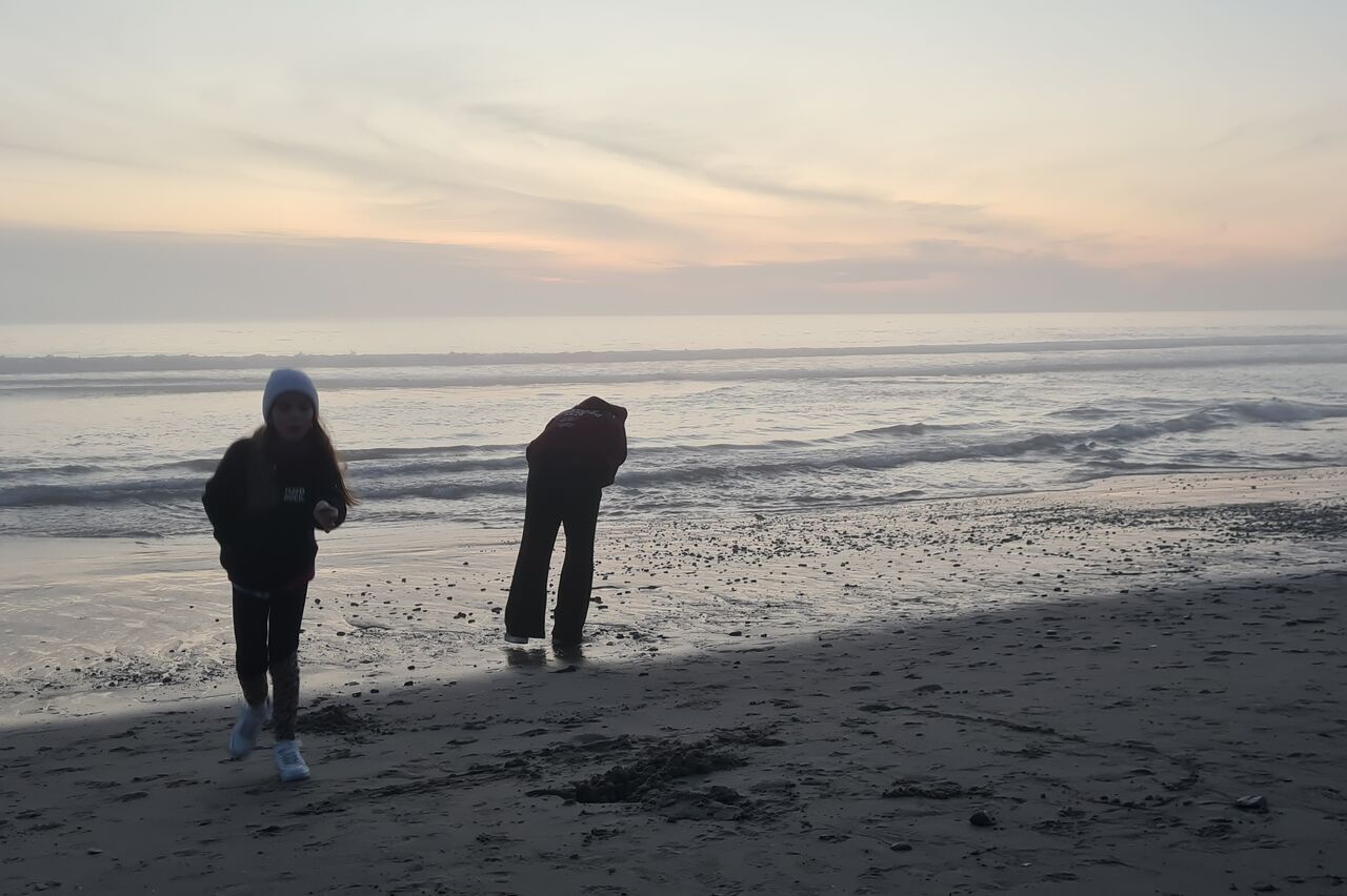 die Kinder suchen Muscheln und finden echt schöne Schneckenhäuser