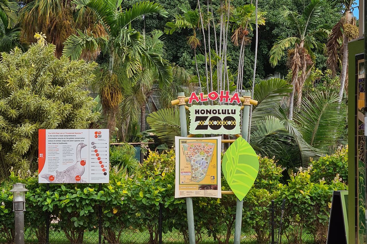 da ist der Zoo, aber wir schauen nicht hinein