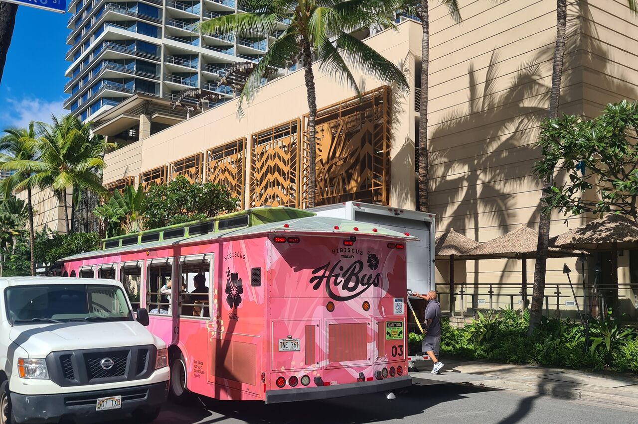 Hibiskus-Bus
