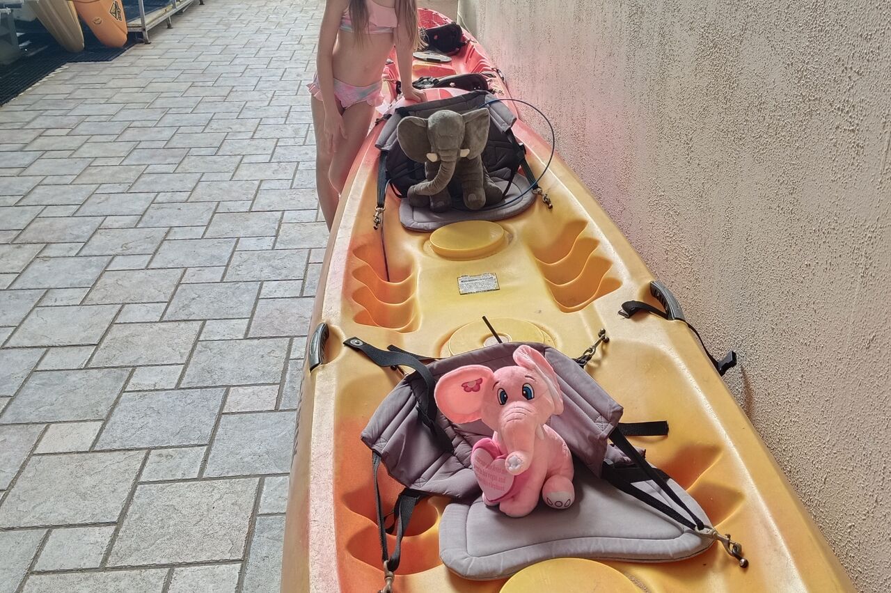 Klassenmaskottchen Huppie und Freundin (haben sich in Vegas kennengelernt) dürfen heute mal mit