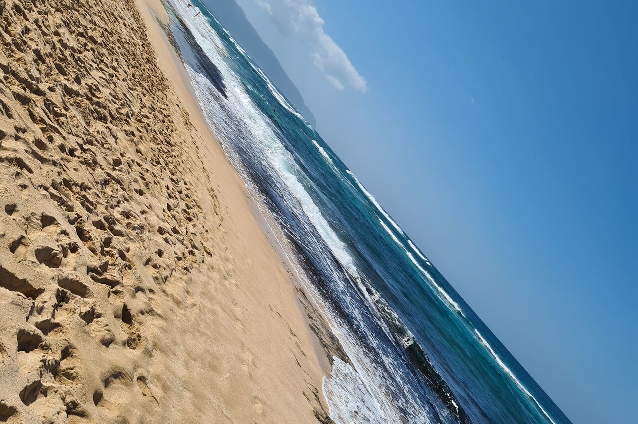 Laniakea Beach