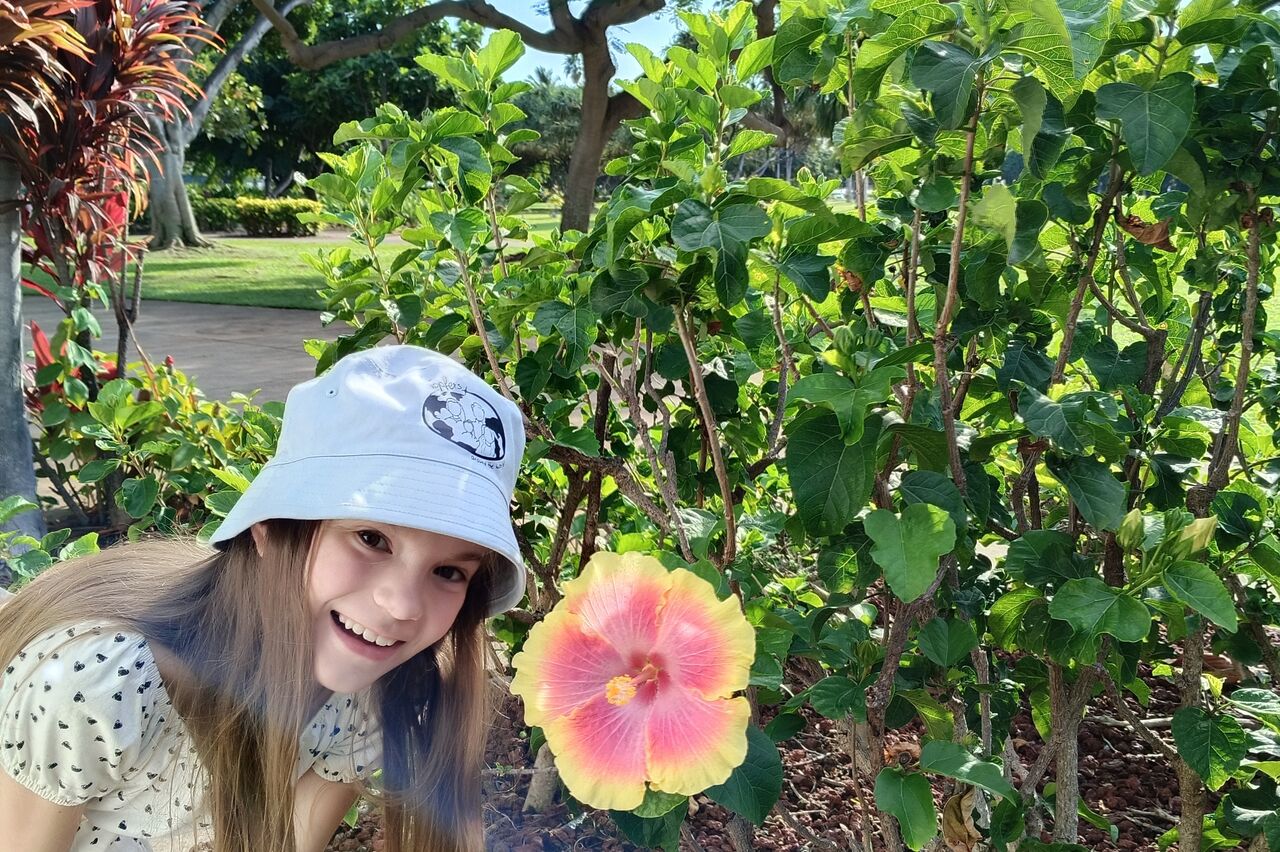 auch die Kleine mag Hibiskus