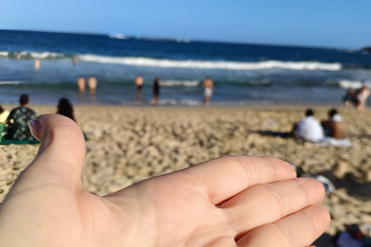 und Muscheln sammeln