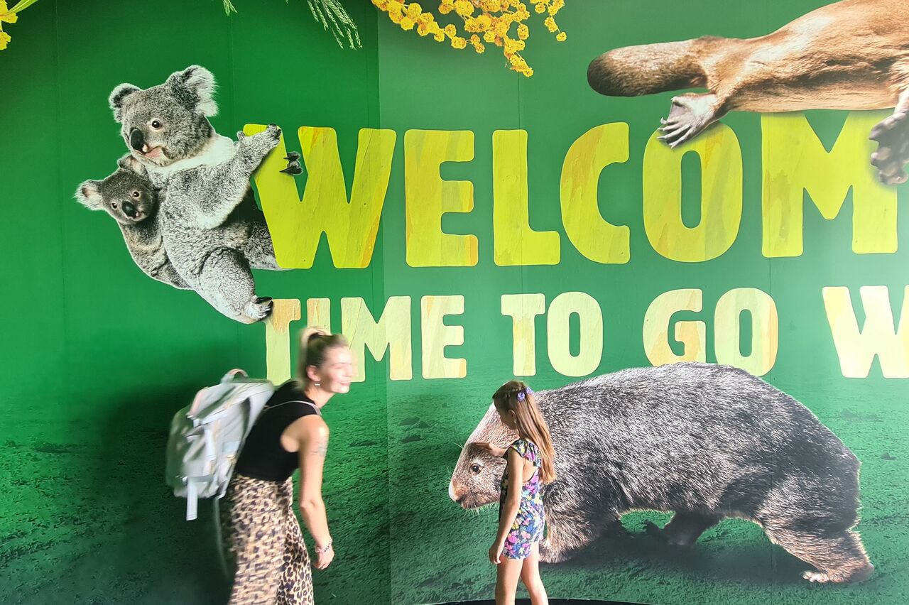 wir sind wieder im wildlife - der Cityzoo