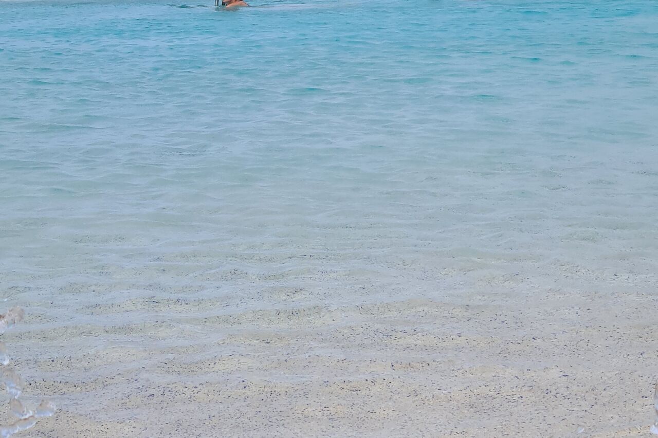und dann wieder ab ins Wasser
