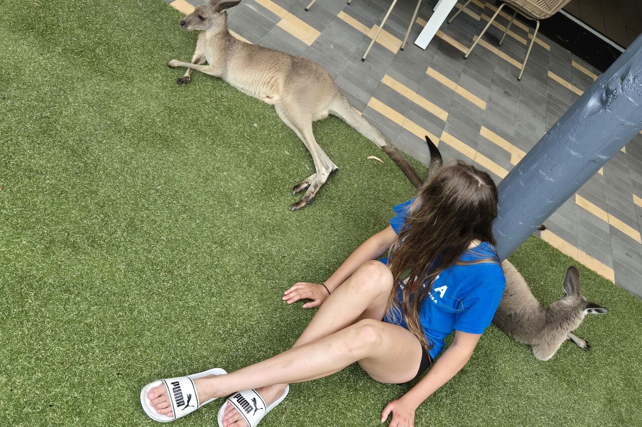 wildlife hautnah
